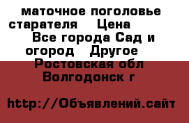 маточное поголовье старателя  › Цена ­ 3 700 - Все города Сад и огород » Другое   . Ростовская обл.,Волгодонск г.